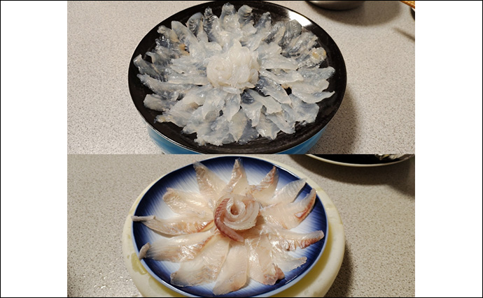 須磨海釣り公園で陸っぱりカワハギ釣りに挑戦【兵庫】エサ取りに苦戦も本命5匹を手中！