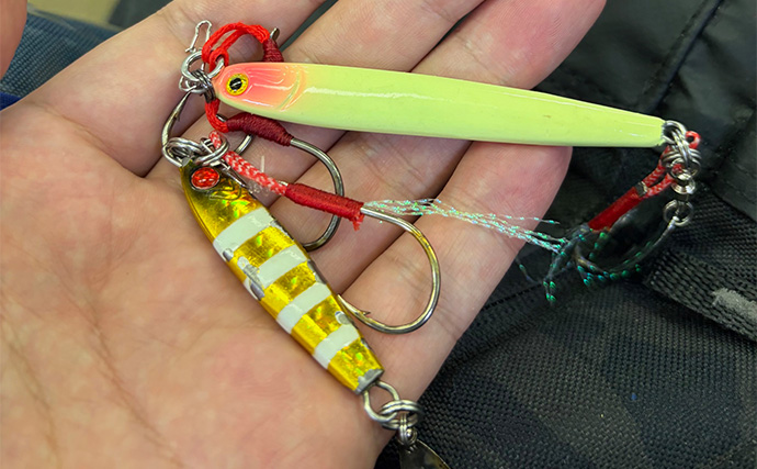 ライトショアジギング（LSJ）入門　メタルジグは最低限どのカラーを用意すればいいの？