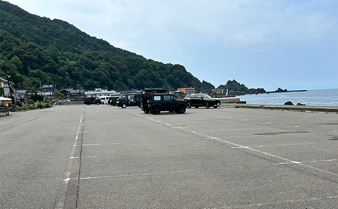 ヤエン釣りでアオリイカ6杯をキャッチ【茂原人工海水浴場】ゲストに青物もヒット