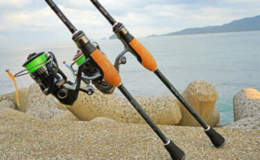 Slider 121619 – image