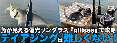 「魚が見えるから昼でも釣れる！」偏光サングラス『Gillsee』で難しいデイアジングを攻略【兵庫・淡路島】