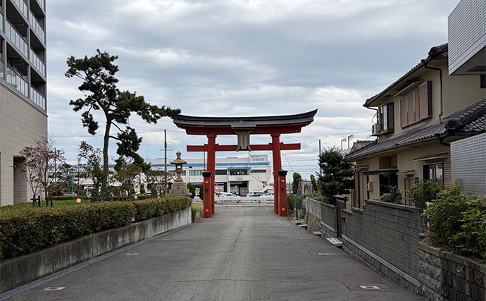 赤潮の垂水漁港でのアジング釣行でアジ10尾キャッチ【兵庫】サイズは8cm級