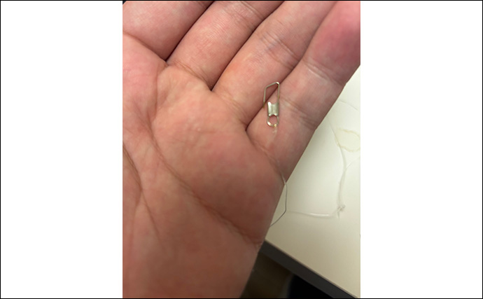 「ここが残念！100均ジグサビキ」 スナップの強度とティンセルの劣化にご注意を