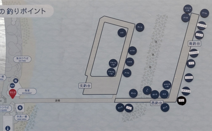 須磨海釣り公園で陸っぱりカワハギ釣りに挑戦【兵庫】エサ取りに苦戦も本命5匹を手中！