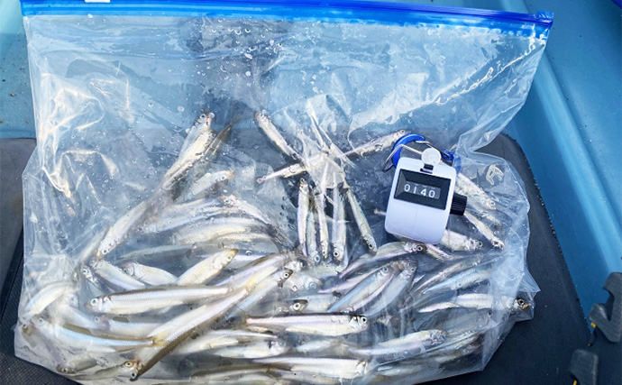 「ワカサギ釣りと足漕ぎカヤックの相性は想像以上！」大群捉えて入れ食い堪能【芦ノ湖】