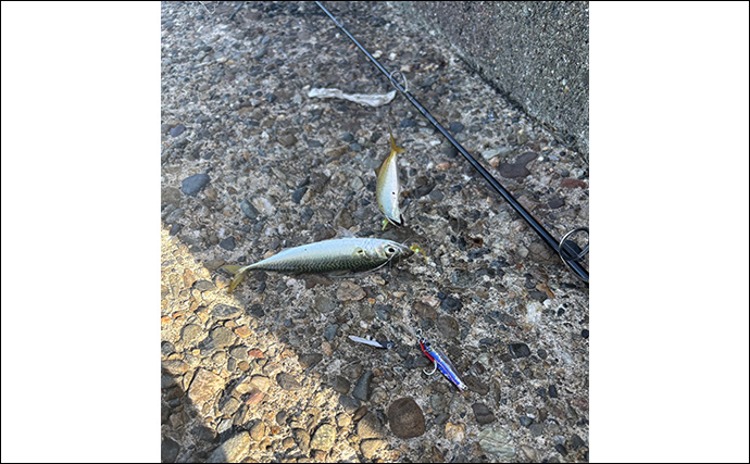 ライトショアジギング（LSJ）で使うメタルジグの重さは何g？　着底の感度が肝