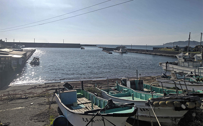 相浜港のフカセ釣りで42cmクロダイをキャッチ【千葉】練りエサ「エサ持ちイエロー」が活躍