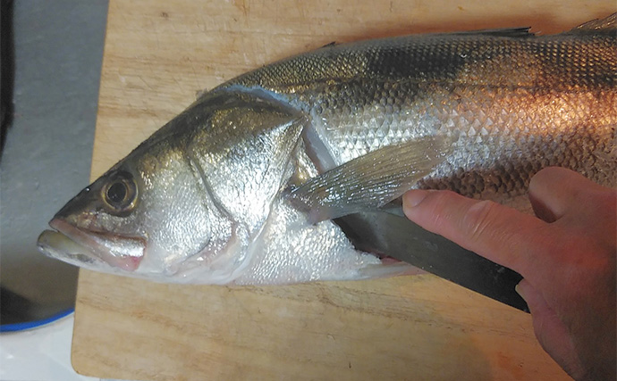 「釣り人の特権」レシピ：スズキのあばら　塩を振って焼くだけで美味しい！