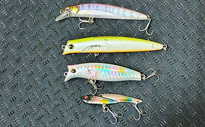 「魚の【荒食い】って何？」  活性がアップする秋こそ釣り入門の大チャンス！