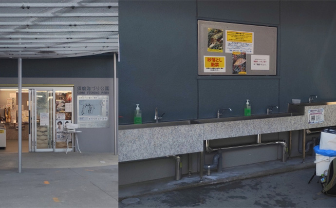 須磨海釣り公園で陸っぱりカワハギ釣りに挑戦【兵庫】エサ取りに苦戦も本命5匹を手中！