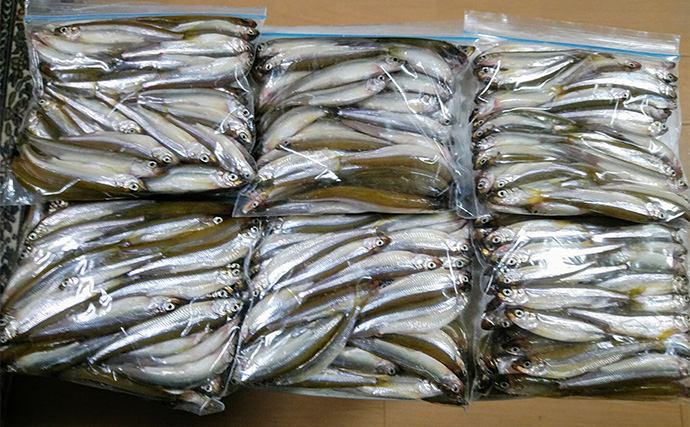 「深場が狙い目！」芦ノ湖ワカサギ釣りガイド【神奈川】温泉＆グルメも楽しめる人気フィールド