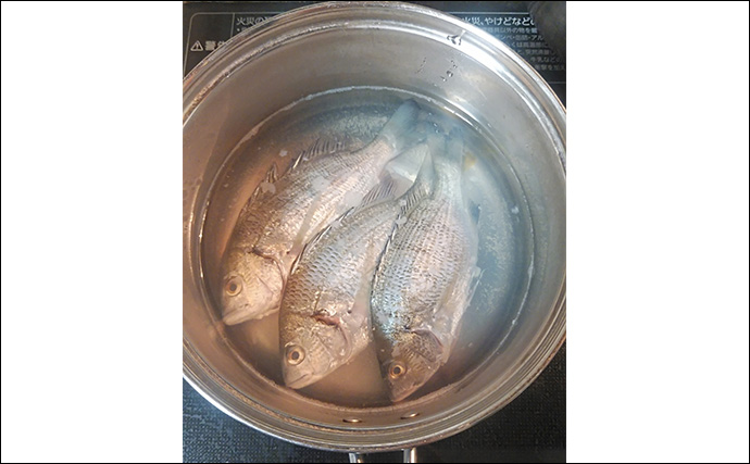 釣れた若魚で作るレシピ：シバチンの吸い物　傷ついた個体を美味しくいただこう