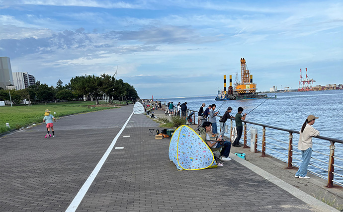 朝マヅメの大阪南港ルアー釣りでサバ50尾超え　3gのメタルジグに連発！