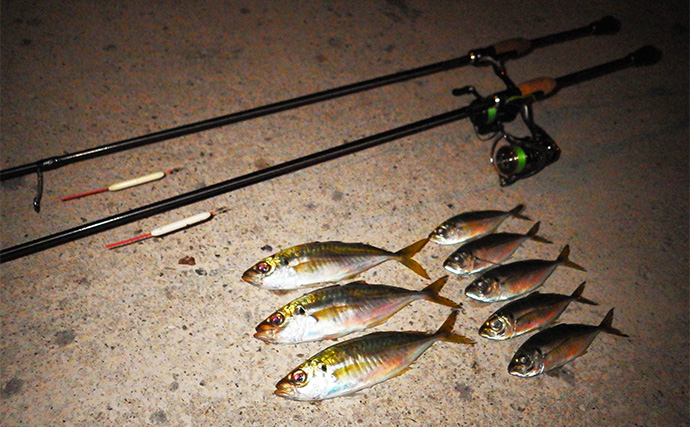 「アジングに長いロッドは不要？」 異例の長尺ロッドは人気釣り場でこそ力を発揮！