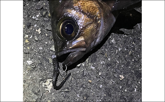 細かすぎるライトゲームの話　ジグヘッドのフックカラーは金と鉛で何が違う？