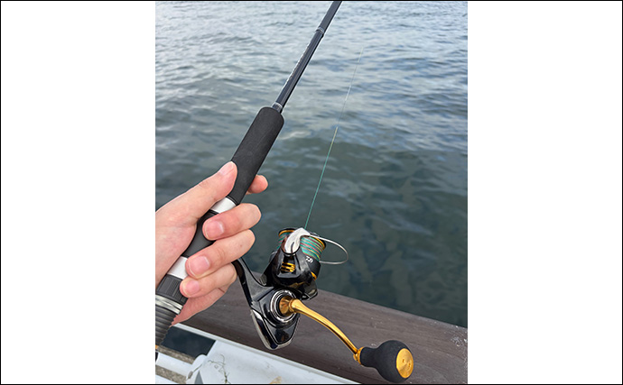 「入門費用はいくら？」大人気の釣り『ライトショアジギング（LSJ）』を始めよう