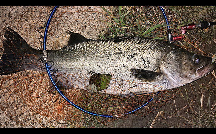 「魚の【荒食い】って何？」  活性がアップする秋こそ釣り入門の大チャンス！
