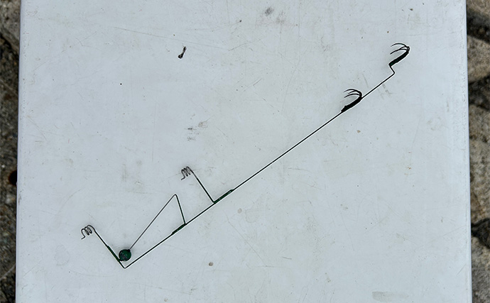 越前のヤエン釣りでアオリイカ当たりっぱなし！【福井】これぞ最盛期の釣り