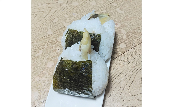 釣魚で作る「がっつり系」レシピ：セイゴの天むす　白米と一緒にガブリ！