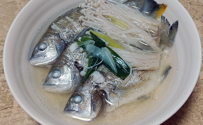 釣れた若魚で作るレシピ：シバチンの吸い物　傷ついた個体を美味しくいただこう