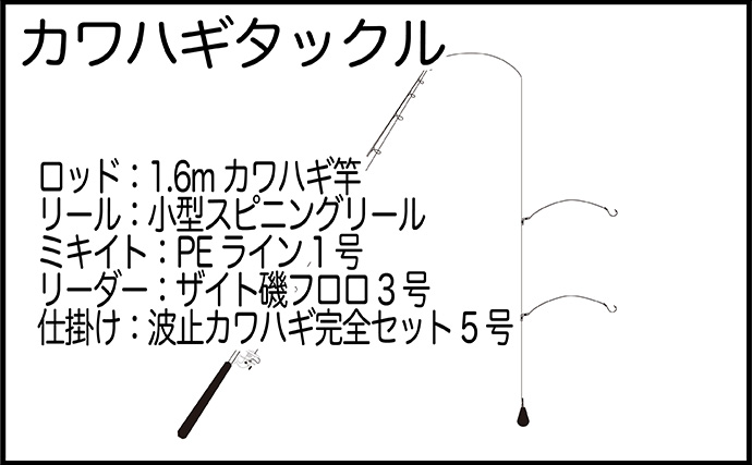 「シーズン開幕！」レンタルボートでのカワハギ釣りで5尾キャッチ【熊本】アラカブは連発