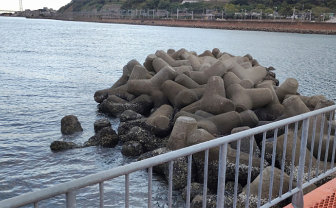 須磨海釣り公園で陸っぱりカワハギ釣りに挑戦【兵庫】エサ取りに苦戦も本命5匹を手中！