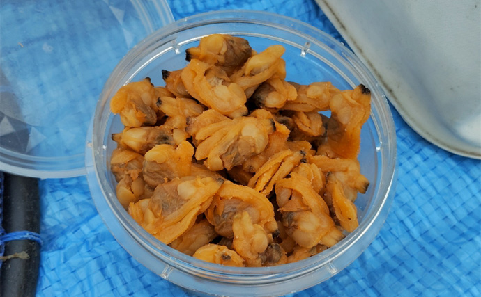 須磨海釣り公園で陸っぱりカワハギ釣りに挑戦【兵庫】エサ取りに苦戦も本命5匹を手中！