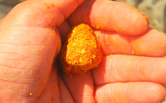 「大型淡水魚の豪引を堪能！」淡水五目釣りで71cmコイに66cmアメリカナマズ【埼玉・元荒川】