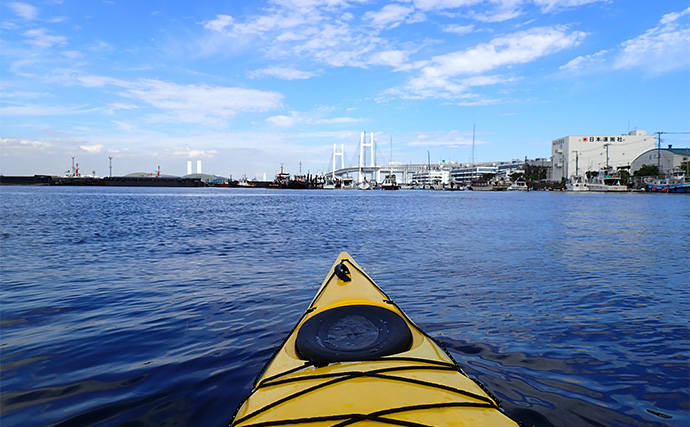 「想定外の展開に！」初めてカヤックに乗ってみた　目の前にナブラ発生で釣り欲が爆発