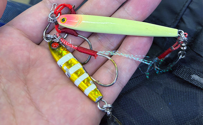 大阪湾奥LSJ釣行で45cm級サゴシ3本手中【泉大津】TGジグのストップ＆ゴーで連発