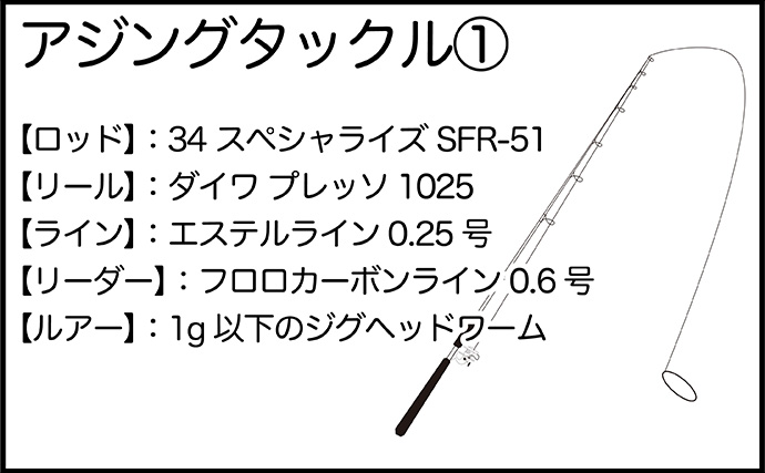 「魚が見えるから昼でも釣れる！」偏光サングラス『Gillsee』で難しいデイアジングを攻略【兵庫・淡路島】