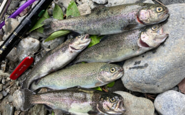 奥多摩の渓流釣りが禁漁に　熊の出没も相次いだ今シーズンを振り返る【東京…