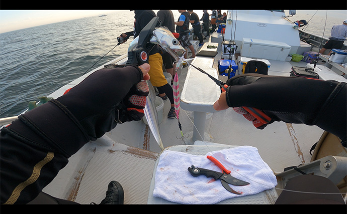 「タコベイトの効果抜群！」タチウオジギングで本命連発！【大阪・釣人家】