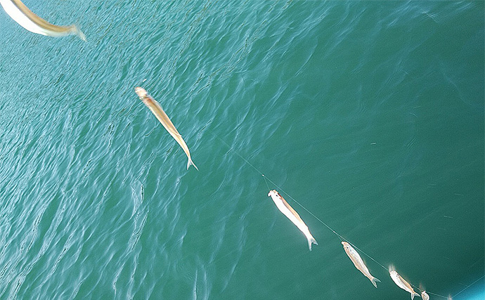 「深場が狙い目！」芦ノ湖ワカサギ釣りガイド【神奈川】温泉＆グルメも楽しめる人気フィールド