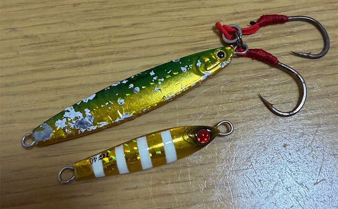 ライトショアジギング（LSJ）超入門　高価なタングステン（TG）のジグは釣れるの？