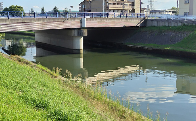 「大型ヒットに備えよう！」リバーシーバスゲームで70cm頭に良型を連打【千葉】