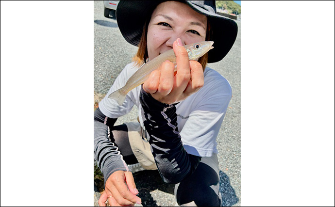 ロックフィッシュゲームでキジハタ手中【熊本・上天草】投げ釣りでは25cm級デカギスも登場