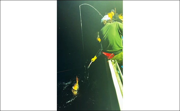 「シロイカ釣りからドラマ展開！」泳がせ釣りへの転戦で80cmマダイ浮上【鳥取・田後沖】