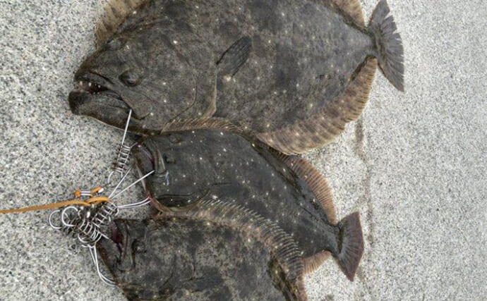 「ヒラメ連発も夢じゃない！」 秋の陸っぱりルアーヒラメ釣り徹底攻略法