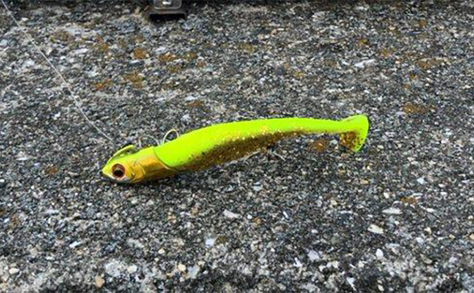 秋の陸っぱりルアーヒラメ釣りにワームがオススメな理由　実績ワーム5選も紹介