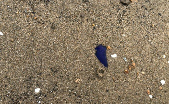 釣りの合間に【シーグラス探し】のススメ　やれば釣りの腕前も上がるかも？