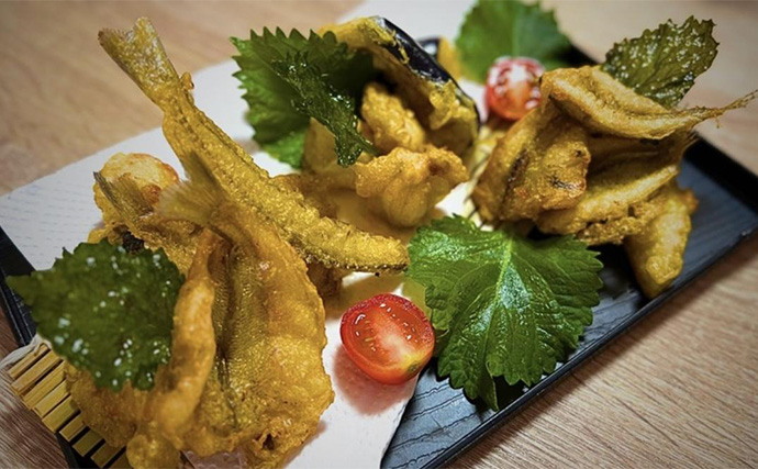 チョイ投げハゼ釣りで本命にキス好捕【新潟・関川】キビレとヒイラギの猛攻に苦戦