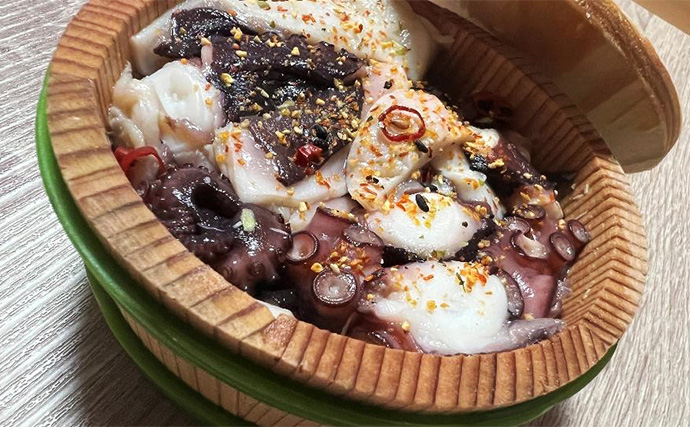 東京湾で船中マダコ100杯超え！【横内丸】金沢八景沖をエギタコ釣りで探る