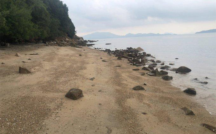 釣りの合間に【シーグラス探し】のススメ　やれば釣りの腕前も上がるかも？