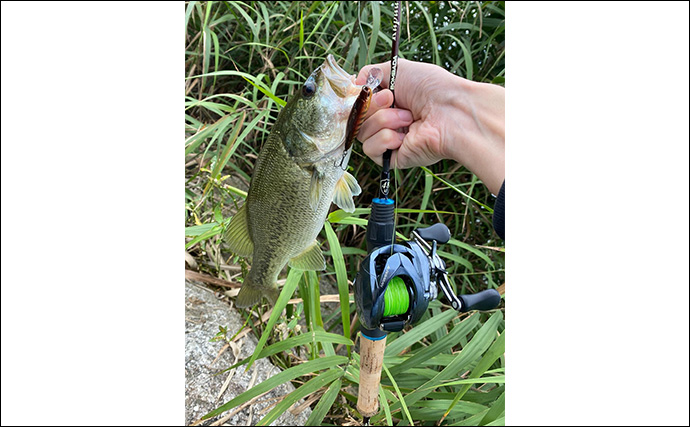 「ロッド選びの肝は弾性にあり？」 バス釣りにおける高弾性／低弾性ロッドの違いと使い分け方