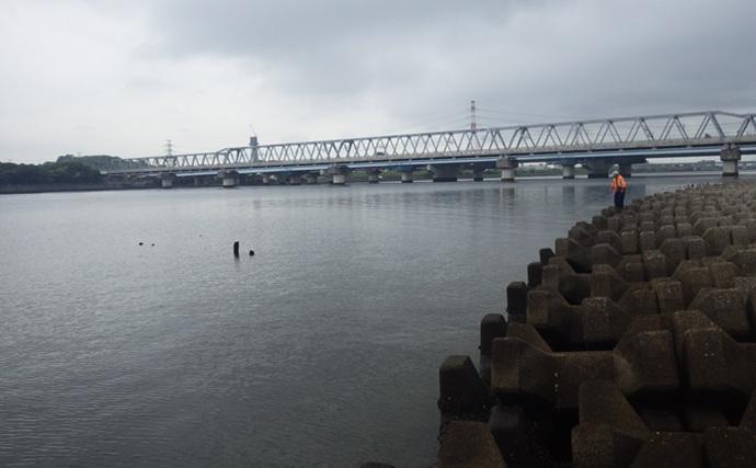 陸っぱりハゼ釣りで14cm級頭に17匹を手中【千葉・江戸川河口】大きめ針のご用意を