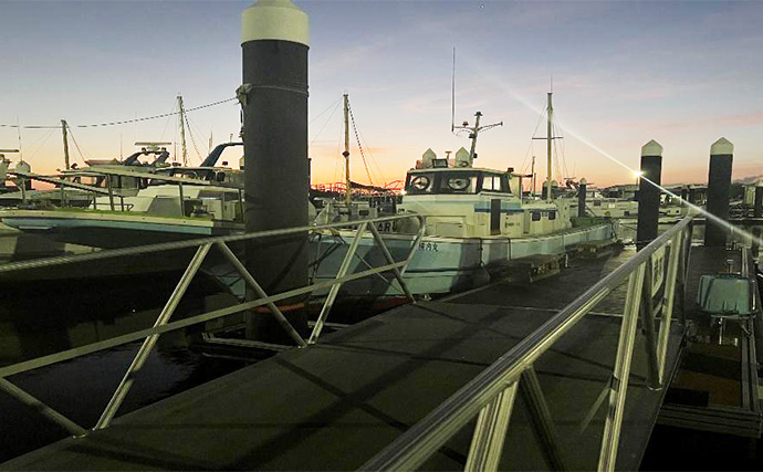 東京湾で船中マダコ100杯超え！【横内丸】金沢八景沖をエギタコ釣りで探る