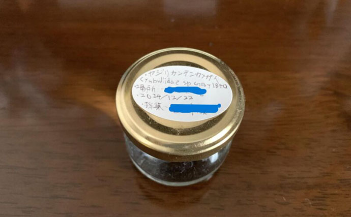 海で手に入れた生き物を＜液浸標本＞にしてみよう！　必要な道具と手順を説明