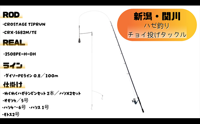チョイ投げハゼ釣りで本命にキス好捕【新潟・関川】キビレとヒイラギの猛攻に苦戦