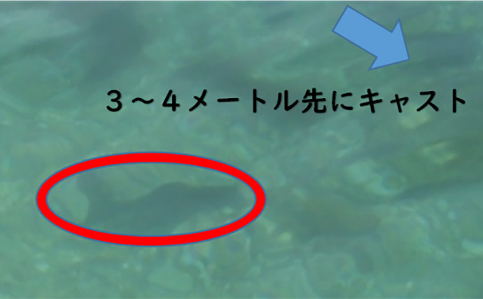 「キャッチ率70％越え？」クロダイを確実に釣りたいなら【カニジグヘッド釣法】がオススメ！